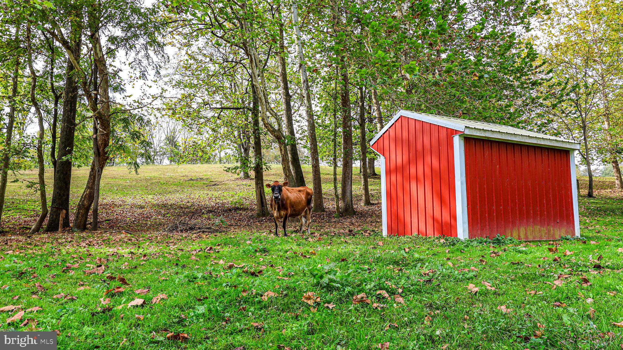 240 Evans Road Lititz, PA 17543 - Photo 58 of 77