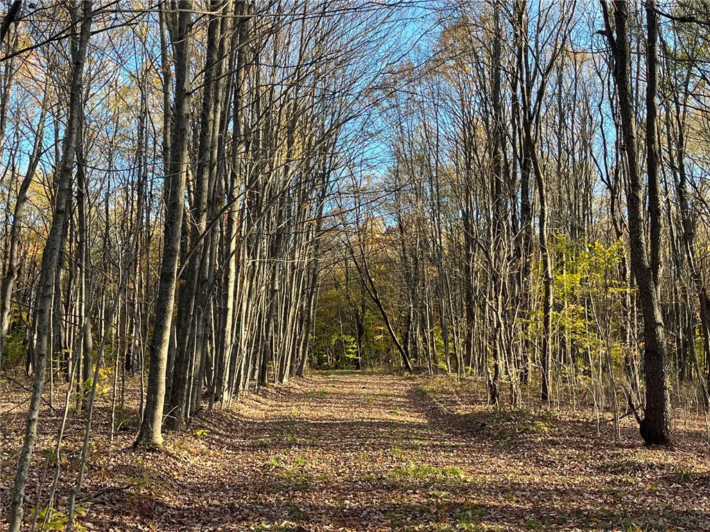 98 Nys Route Franklinville, NY 14737 - Photo 3 of 49 Gallery Image 3