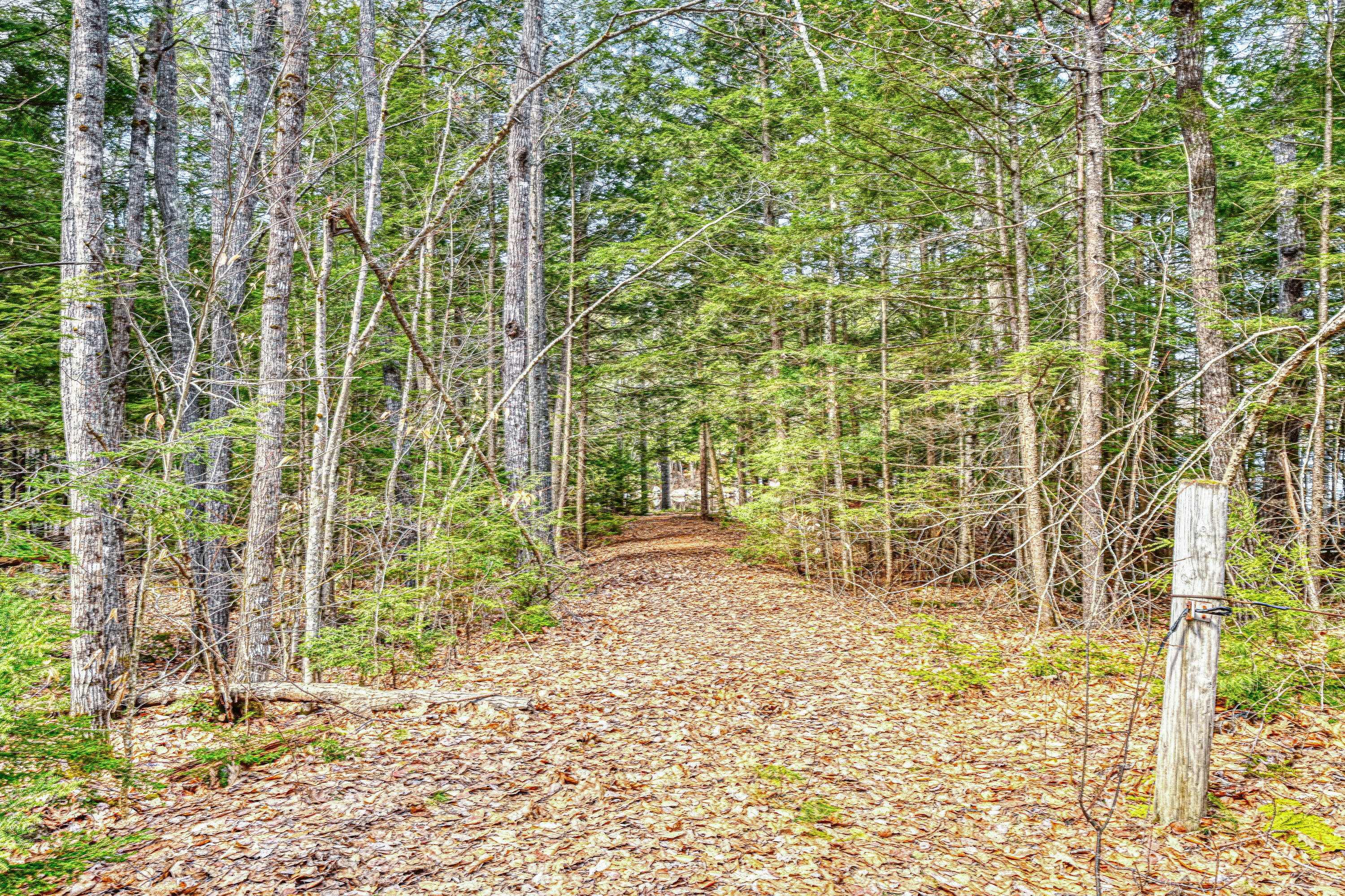 22 Castle View Lane Belgrade, ME 04917 - Photo 8 of 16 35-LXCNVJC-LP-104