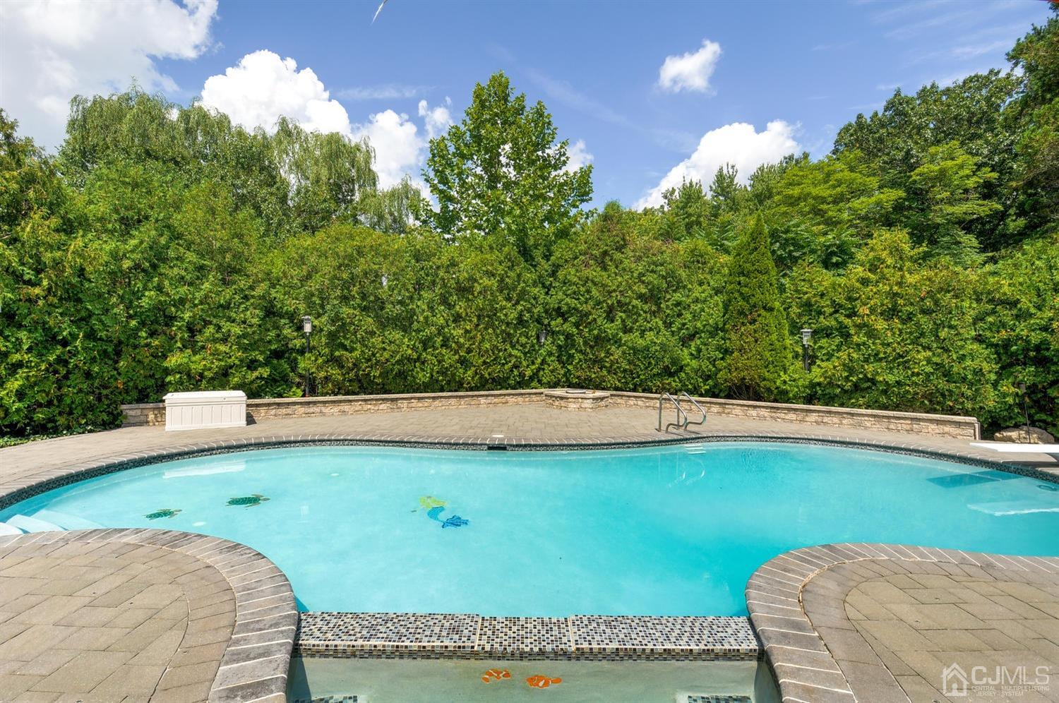25 Agate Road East Brunswick, NJ 08816 - Photo 33 of 39 a view of a swimming pool with a yard