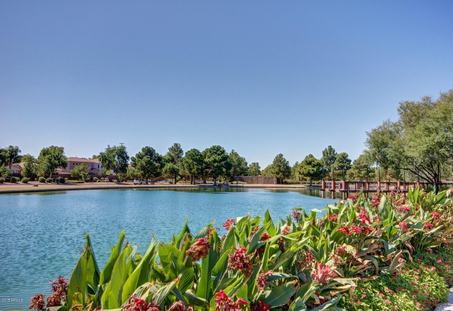 4452 East Blue Sage Road Gilbert, AZ 85297 - Photo 11 of 56 0060-Blue Sage (60)