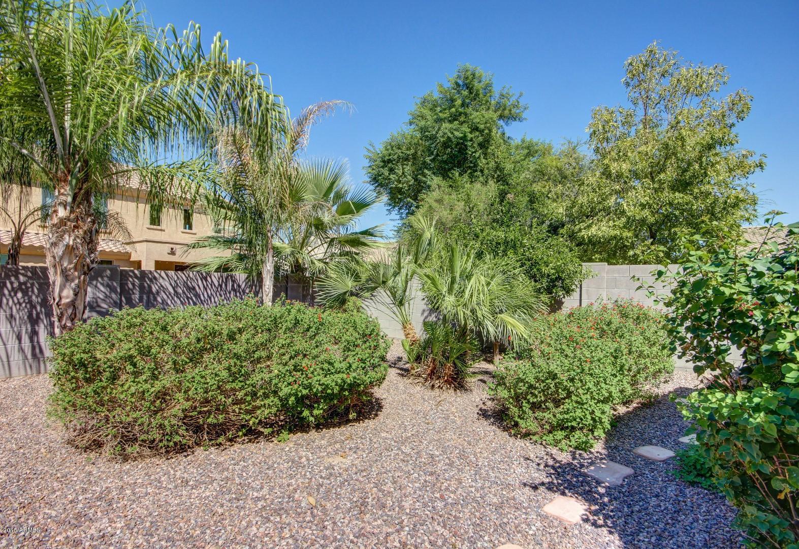 4452 East Blue Sage Road Gilbert, AZ 85297 - Photo 46 of 56 0049-Blue Sage (49)
