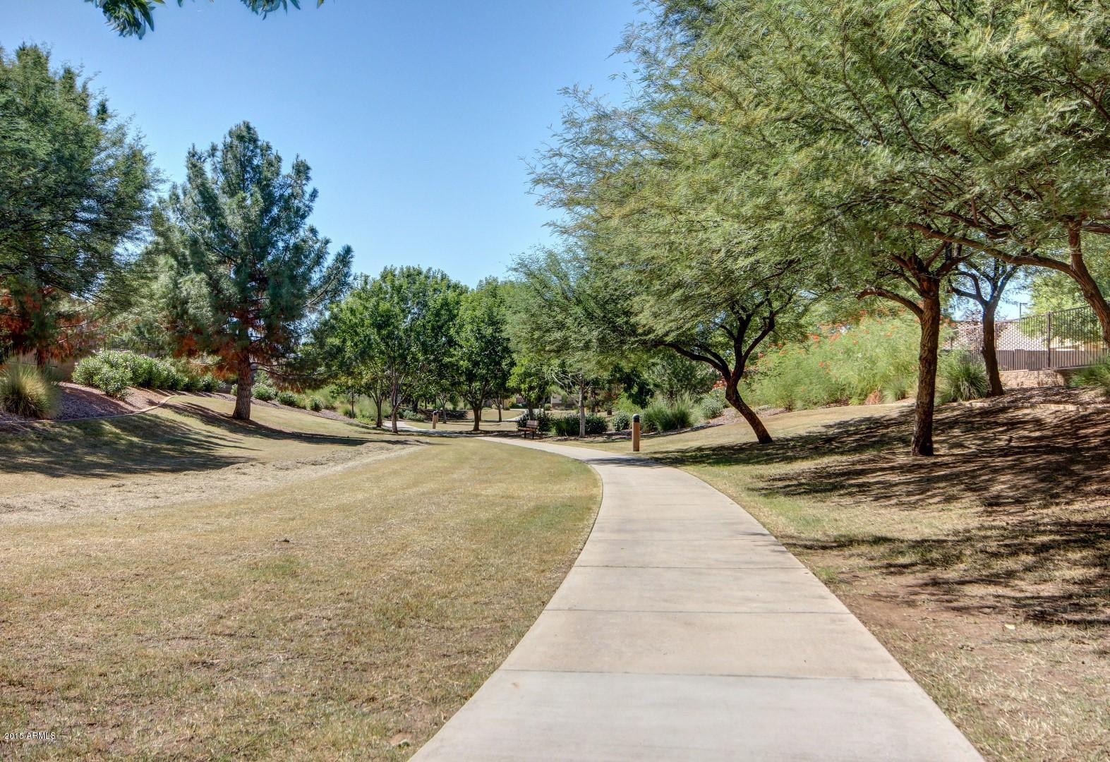 4452 East Blue Sage Road Gilbert, AZ 85297 - Photo 50 of 56 0053-Blue Sage (53)