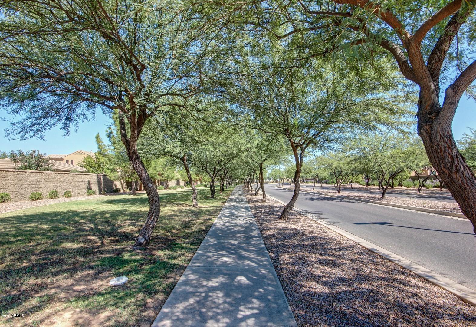 4452 East Blue Sage Road Gilbert, AZ 85297 - Photo 53 of 56 0057-Blue Sage (56)