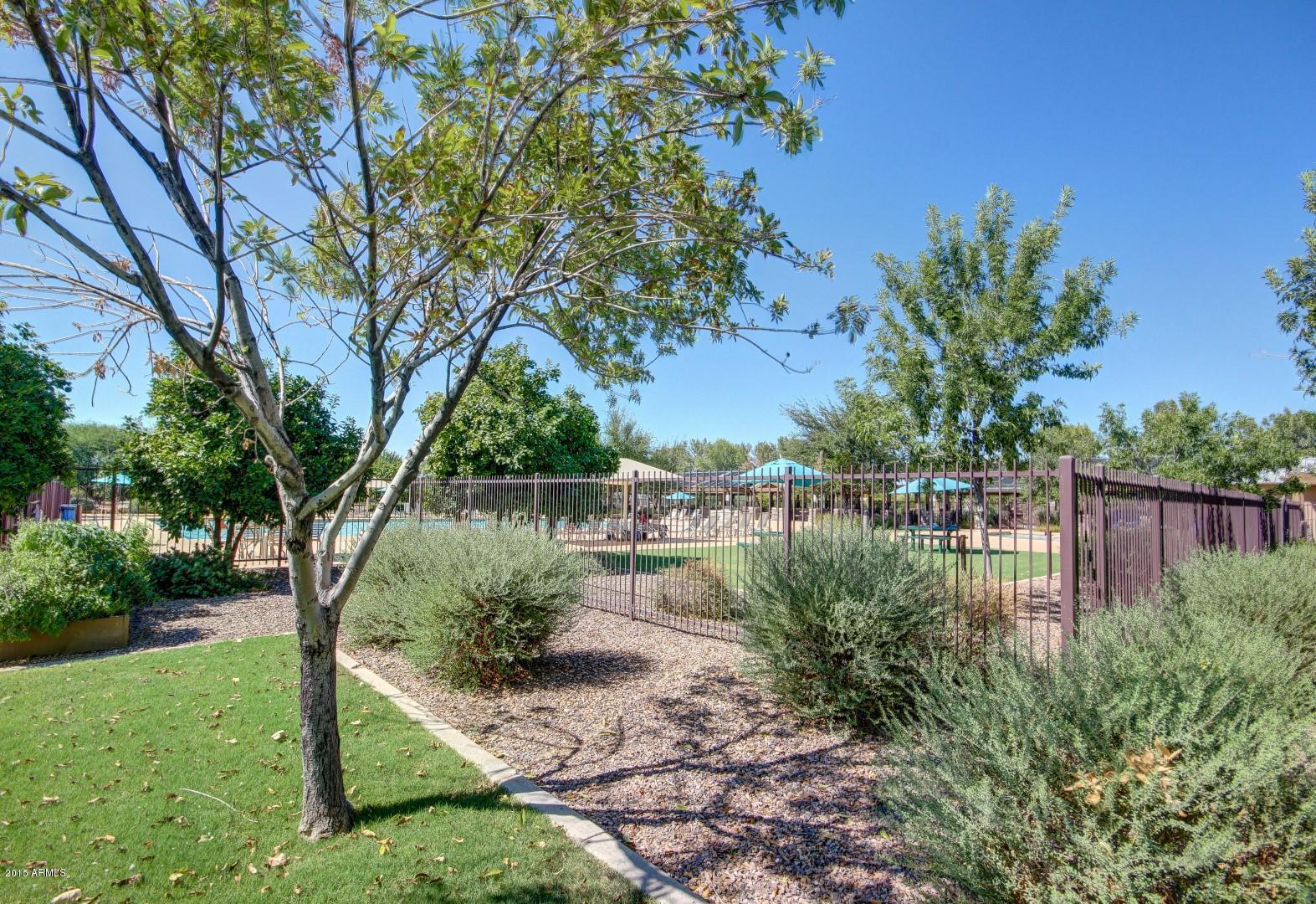 4452 East Blue Sage Road Gilbert, AZ 85297 - Photo 54 of 56 0058-Blue Sage (58)