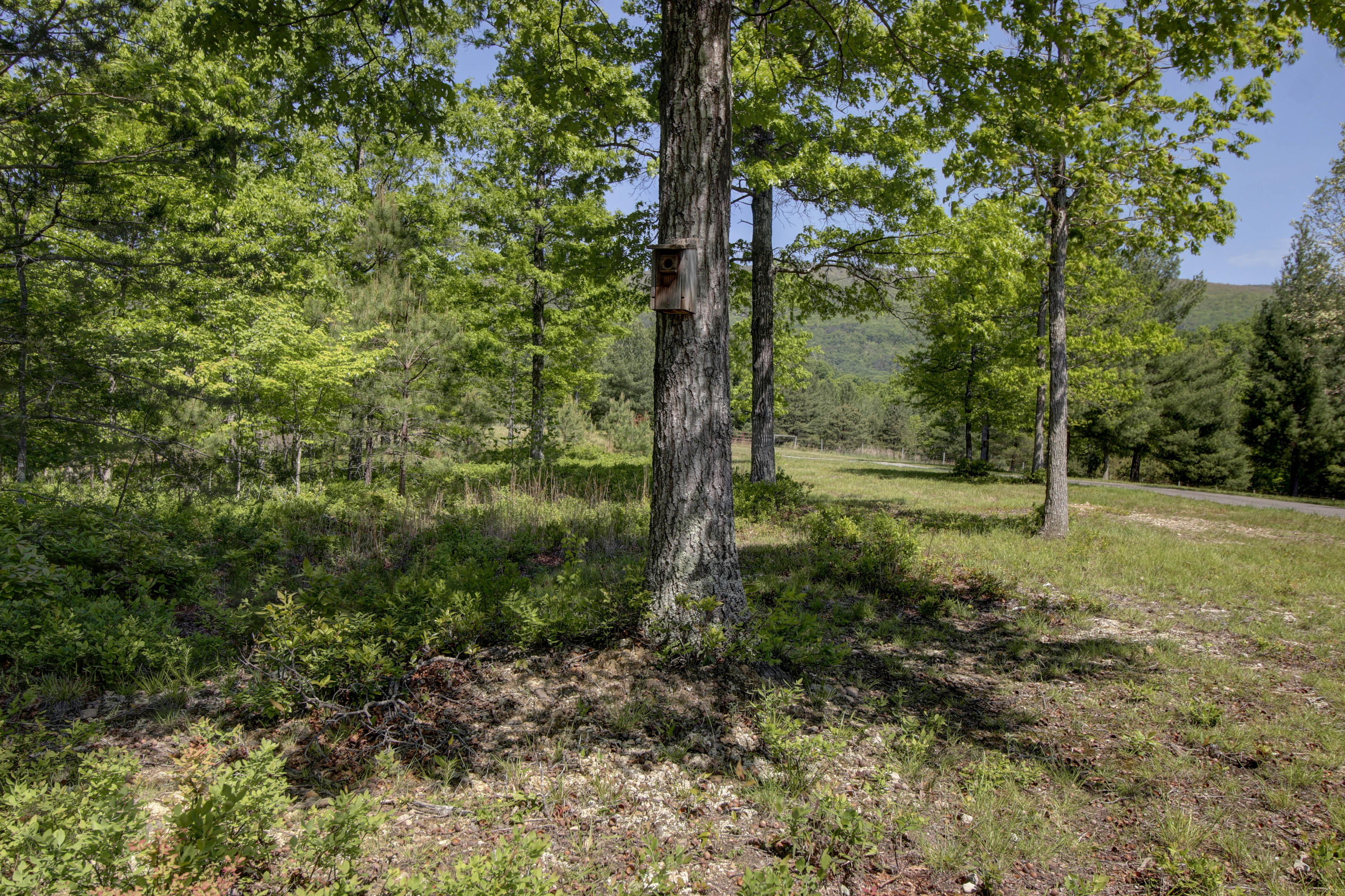 5822 Paint Bank Road New Castle, VA 24127 - Photo 54 of 86 _MG_8560_1_2_3_4
