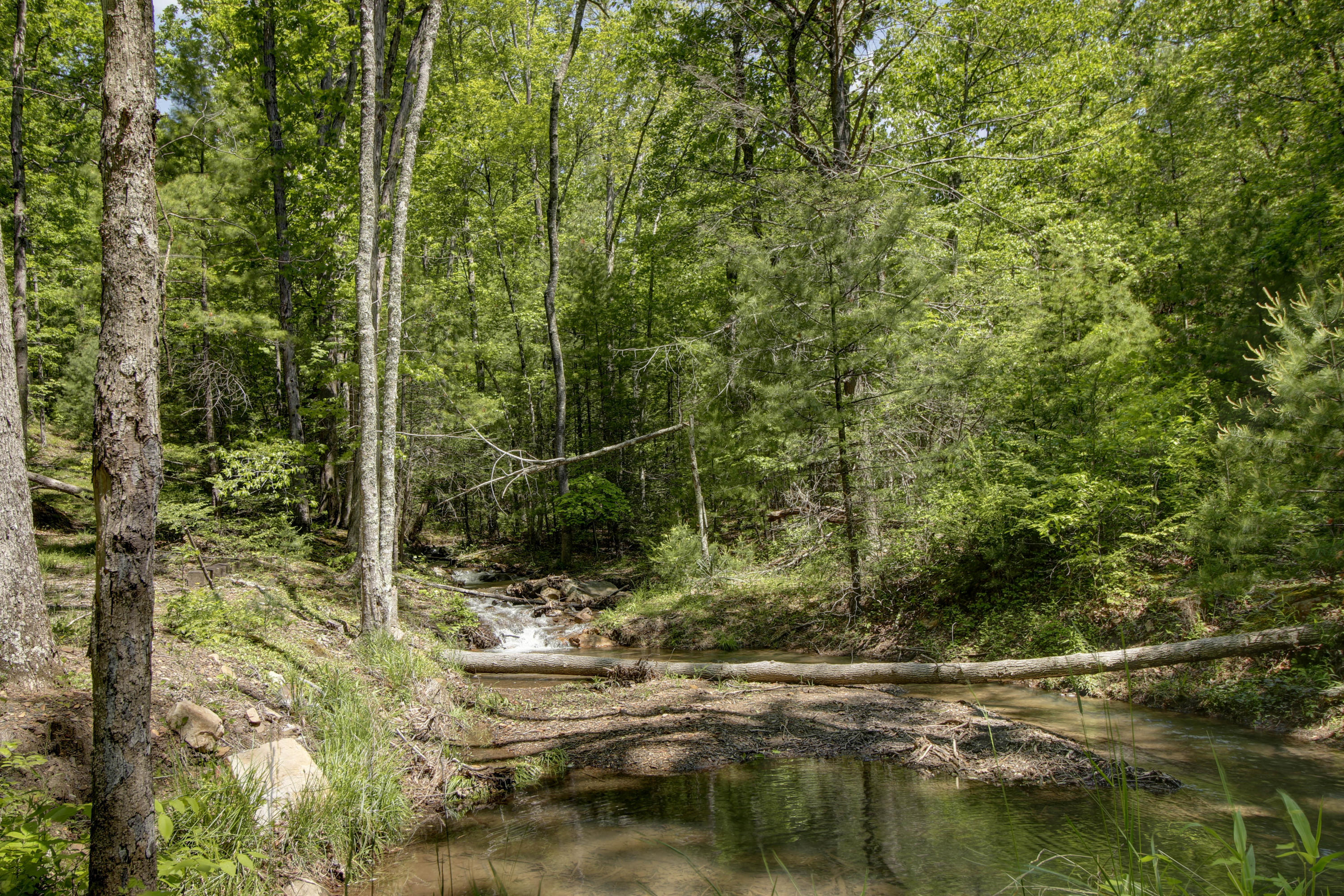 5822 Paint Bank Road New Castle, VA 24127 - Photo 56 of 86 _MG_8575_6_7_8_9