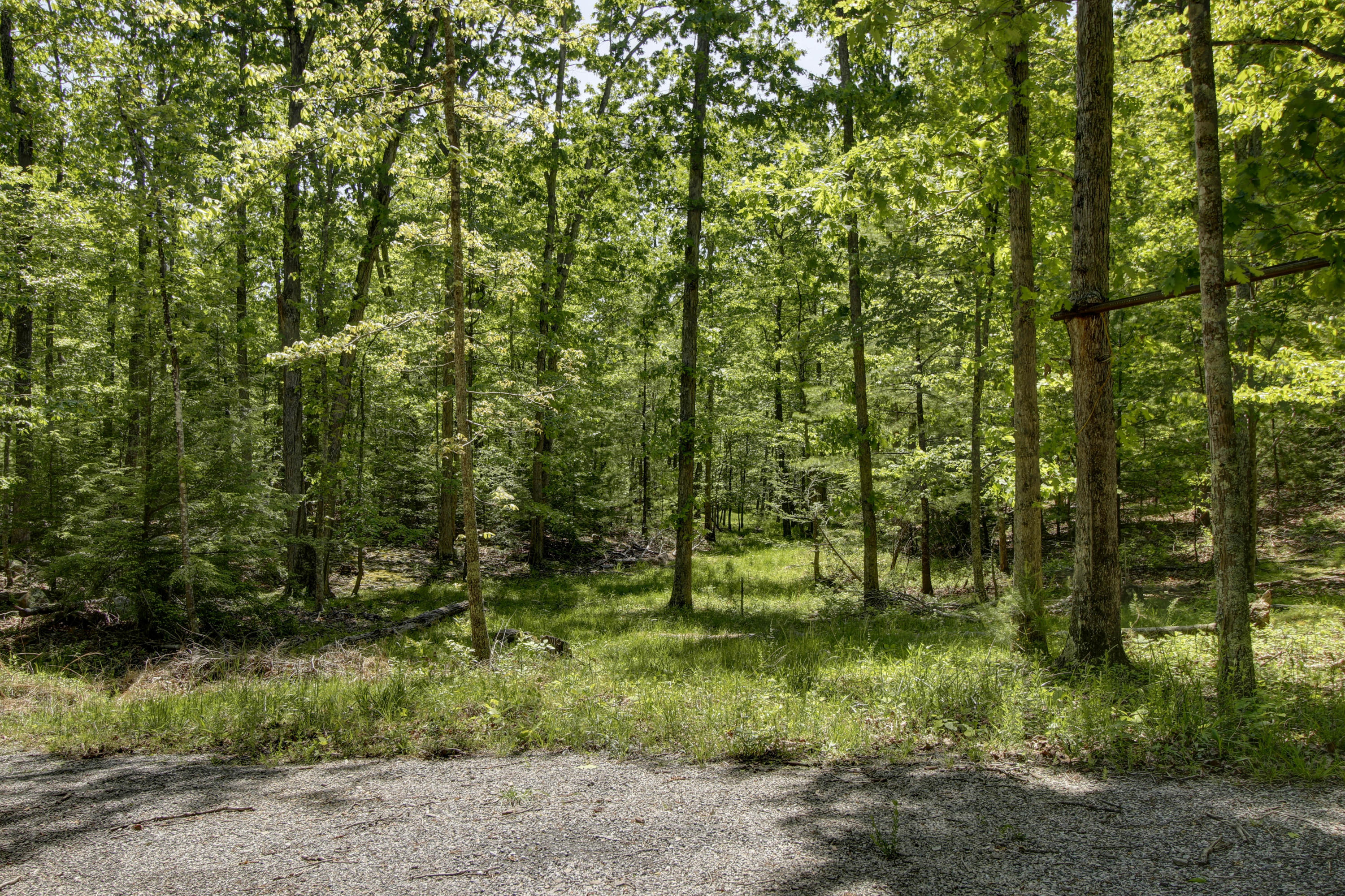 5822 Paint Bank Road New Castle, VA 24127 - Photo 61 of 86 _MG_8605_6_7_8_9