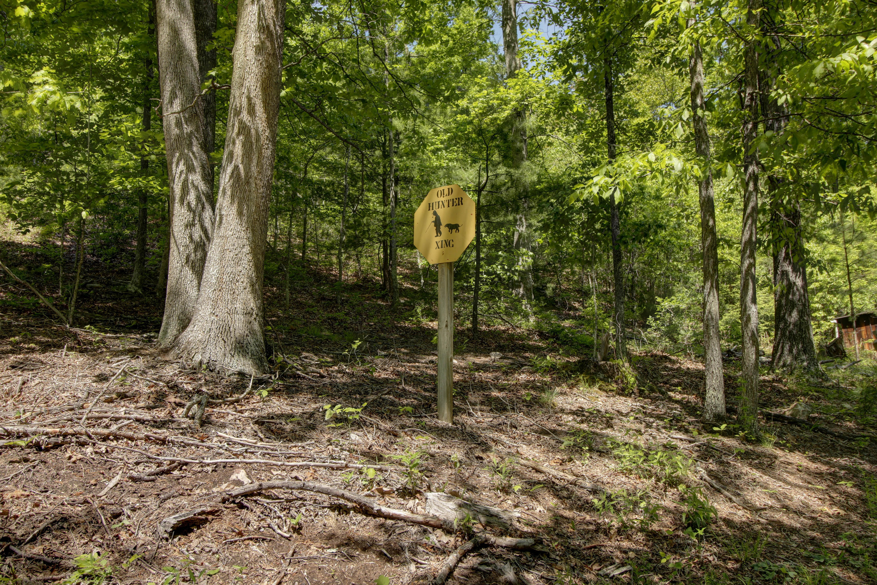5822 Paint Bank Road New Castle, VA 24127 - Photo 62 of 86 _MG_8610_1_2_3_4