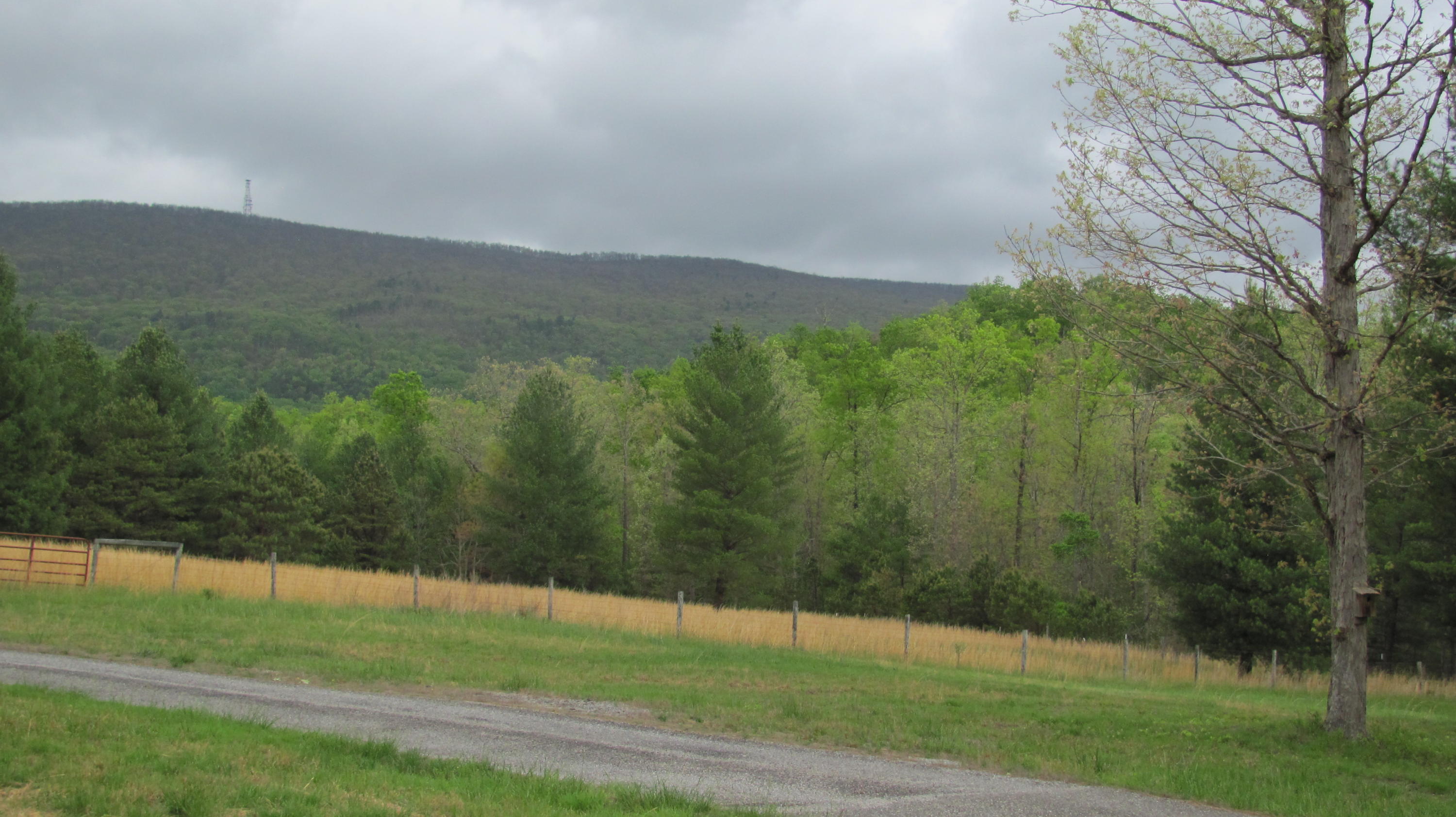 5822 Paint Bank Road New Castle, VA 24127 - Photo 68 of 86 IMG_4276