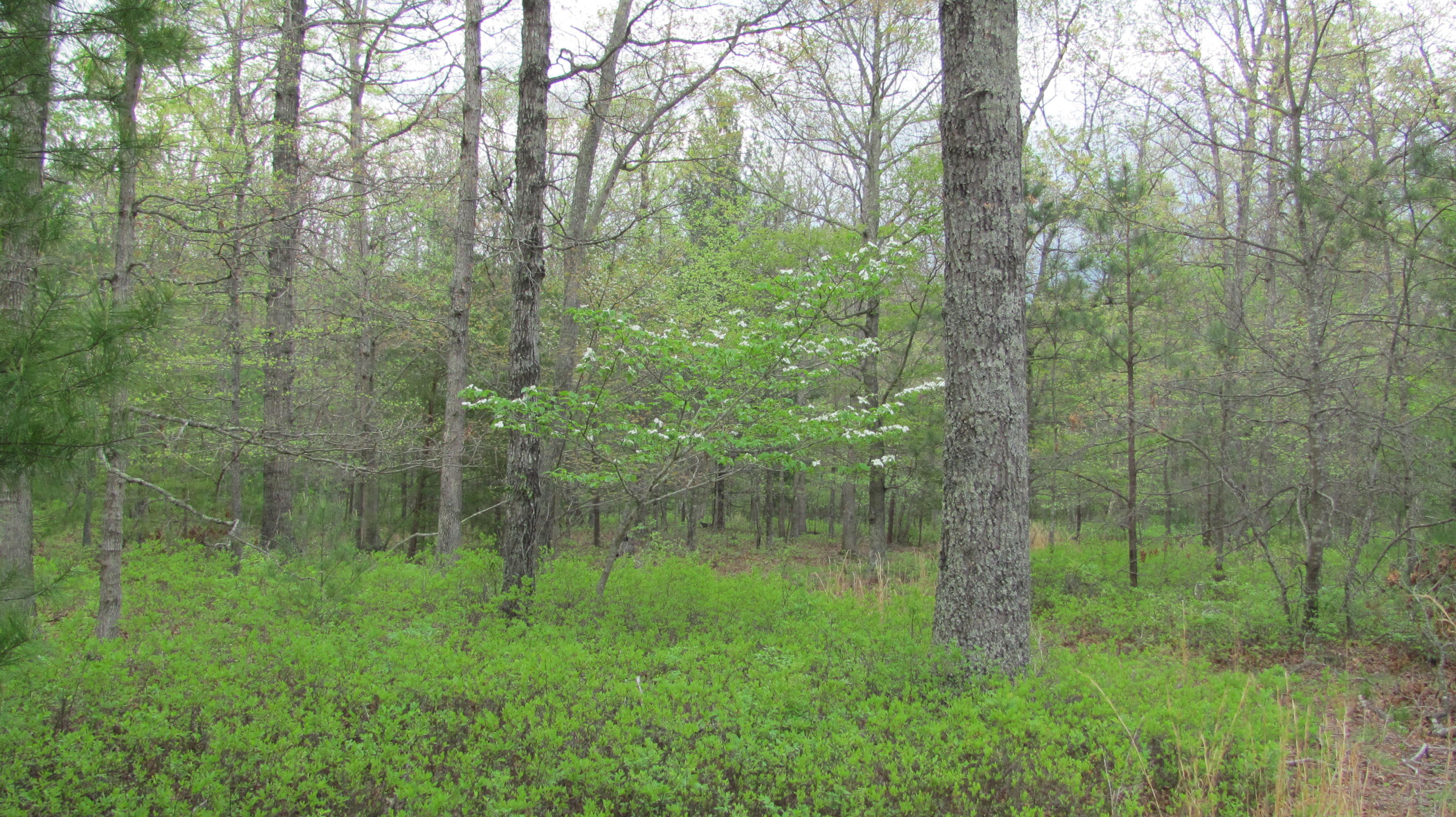 5822 Paint Bank Road New Castle, VA 24127 - Photo 70 of 86 IMG_4270
