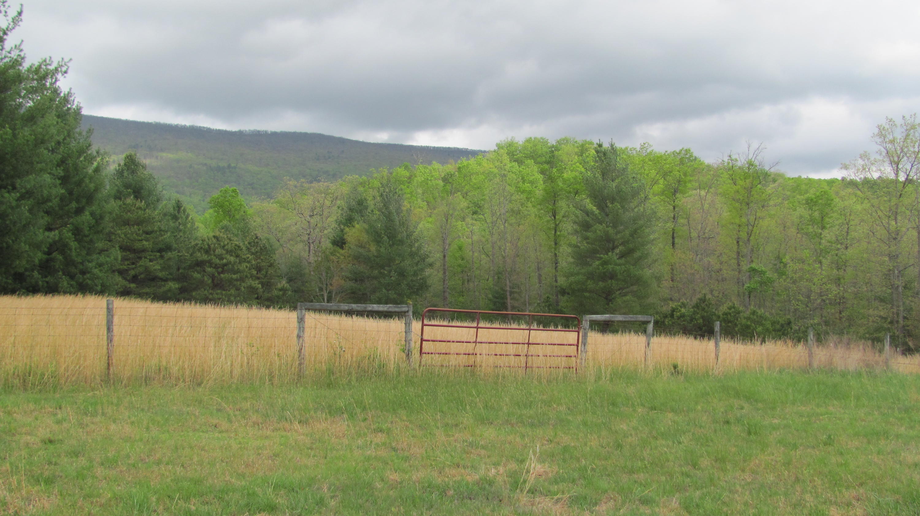 5822 Paint Bank Road New Castle, VA 24127 - Photo 72 of 86 IMG_4327