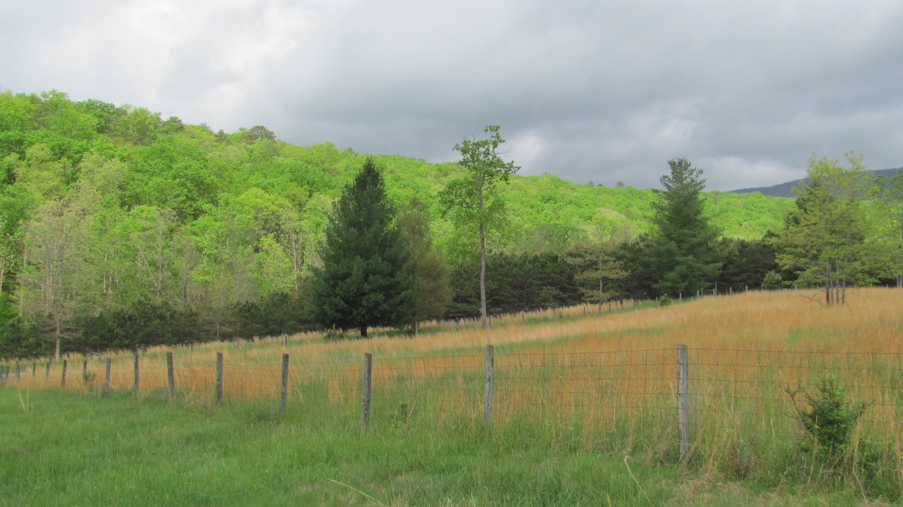 5822 Paint Bank Road New Castle, VA 24127 - Photo 73 of 86 IMG_4328