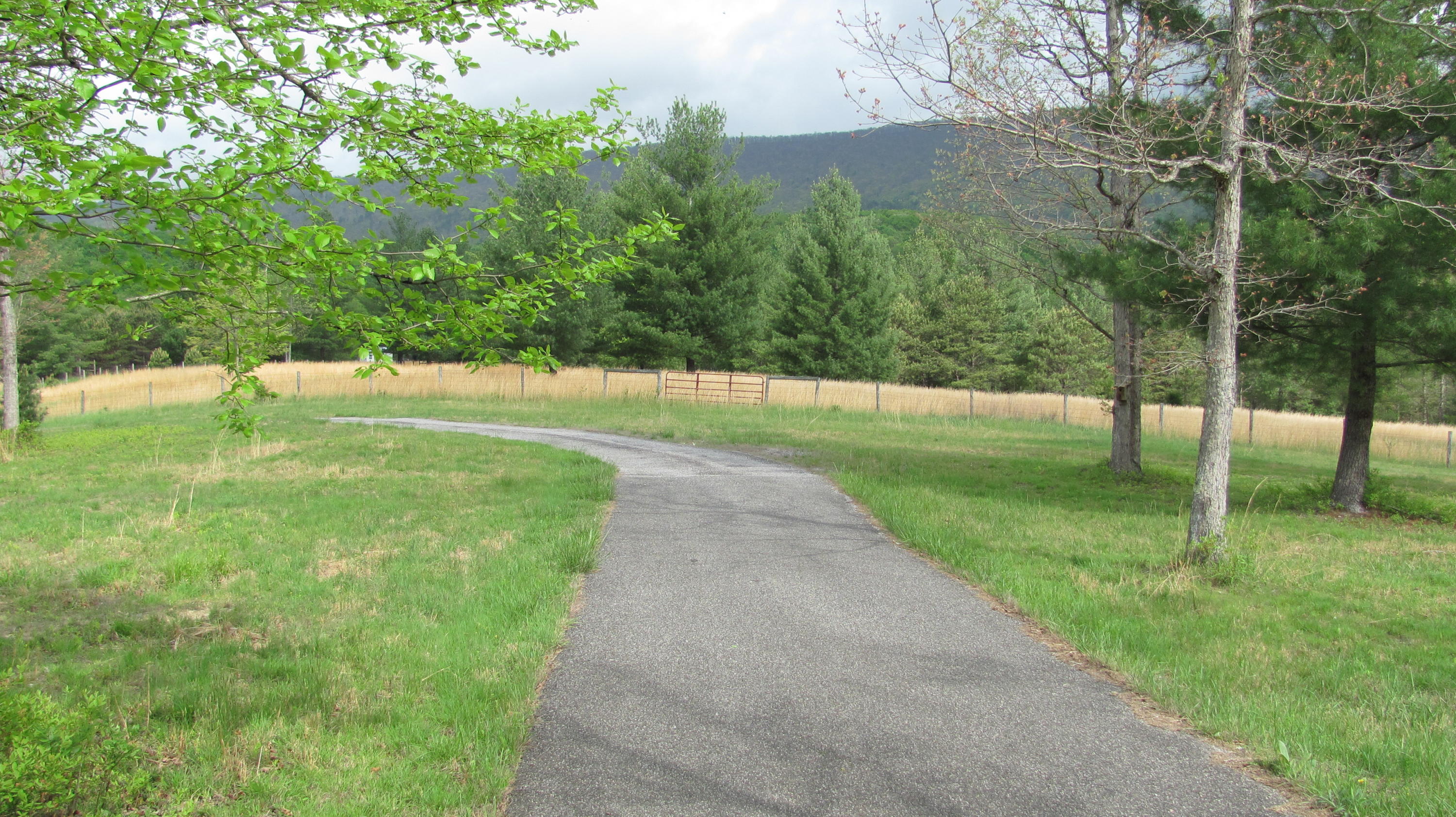 5822 Paint Bank Road New Castle, VA 24127 - Photo 75 of 86 IMG_4325