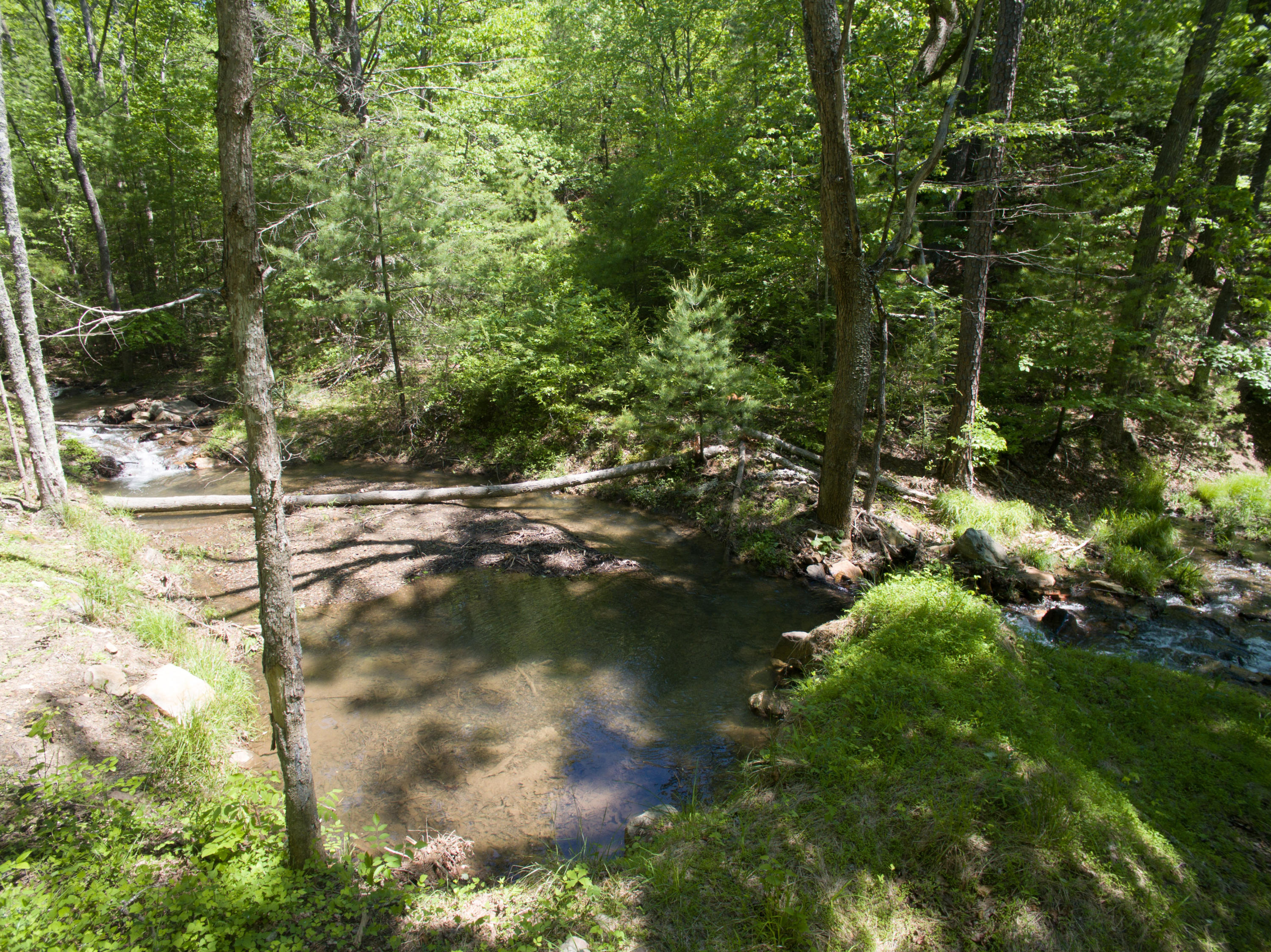 5822 Paint Bank Road New Castle, VA 24127 - Photo 84 of 86 05152017-8