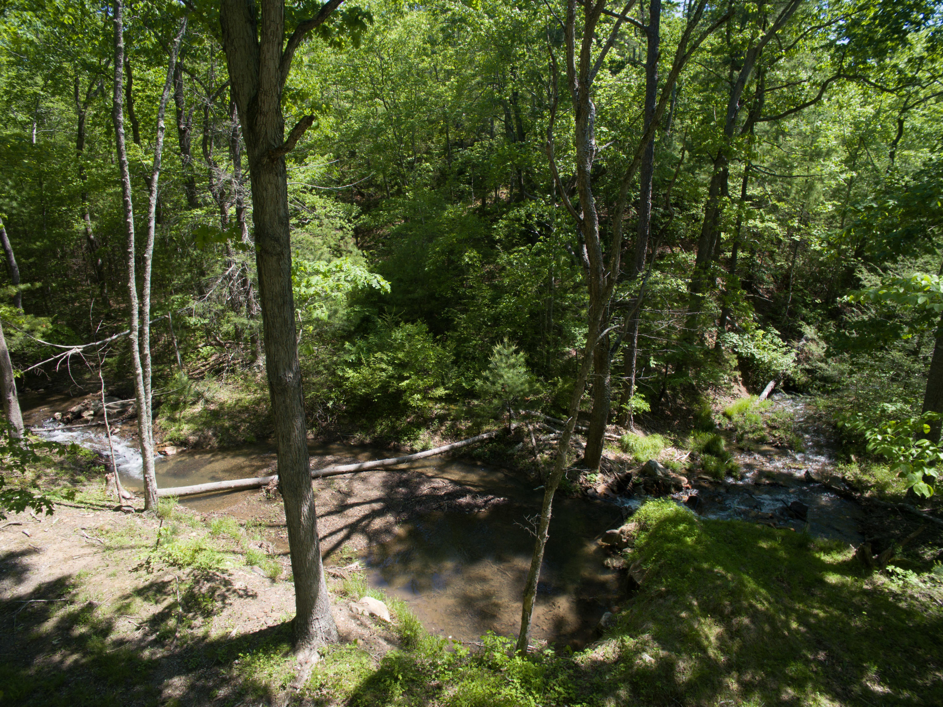5822 Paint Bank Road New Castle, VA 24127 - Photo 85 of 86 05152017-9