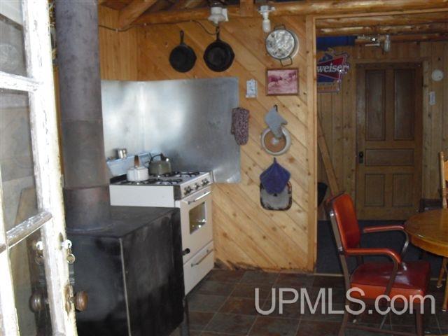 Tbd Country Lane Road Eben Junction, MI 49825 - Photo 9 of 21