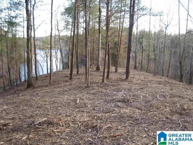 Taylors Ferry Road, Unit 6 Parrish, AL 35580 - Photo 2 of 3
