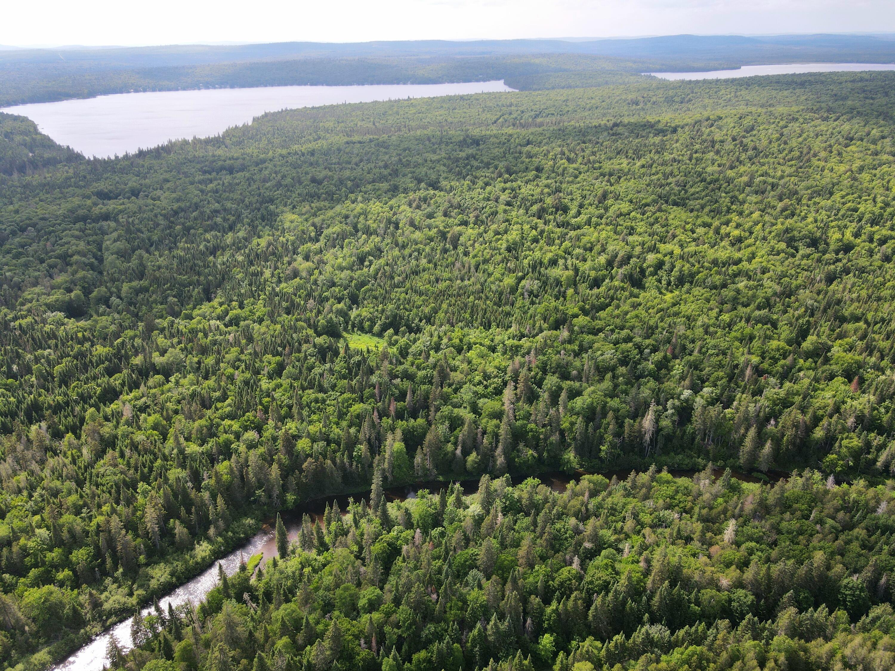 dji_fly_20240613_154710_938_171831288136