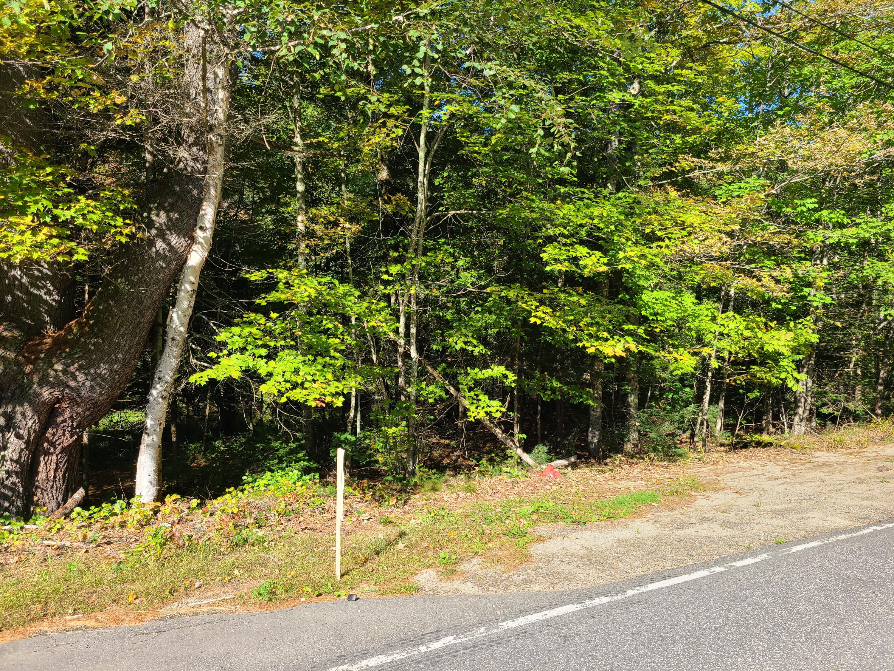 Tbd1 Sumner Road Buckfield, ME 04220 - Photo 15 of 19 20210917_094203