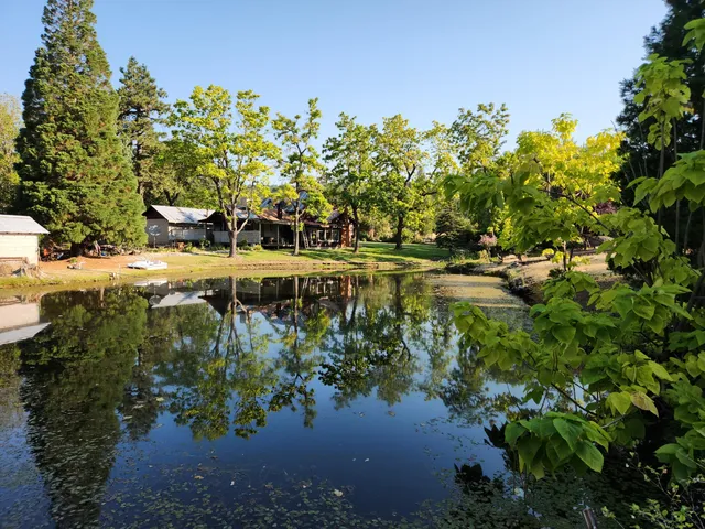 $250,000 | 19173 Woodhill Drive, Montgomery Creek, CA 96065