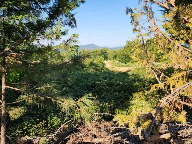 $250,000 | 19173 Woodhill Drive, Montgomery Creek, CA 96065