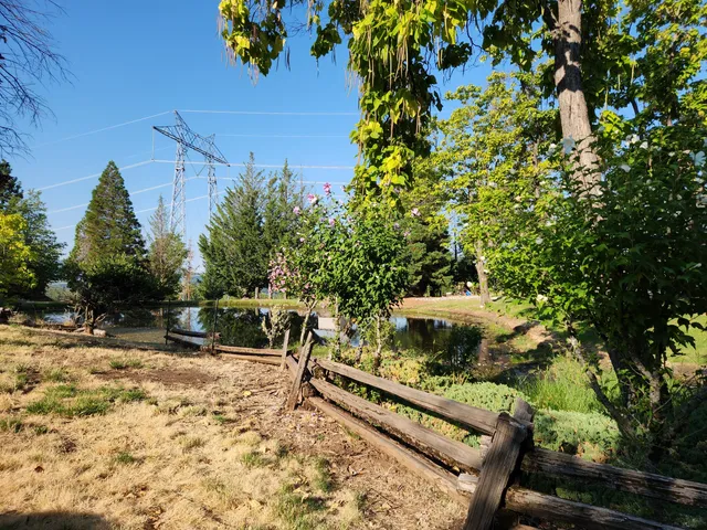 $250,000 | 19173 Woodhill Drive, Montgomery Creek, CA 96065