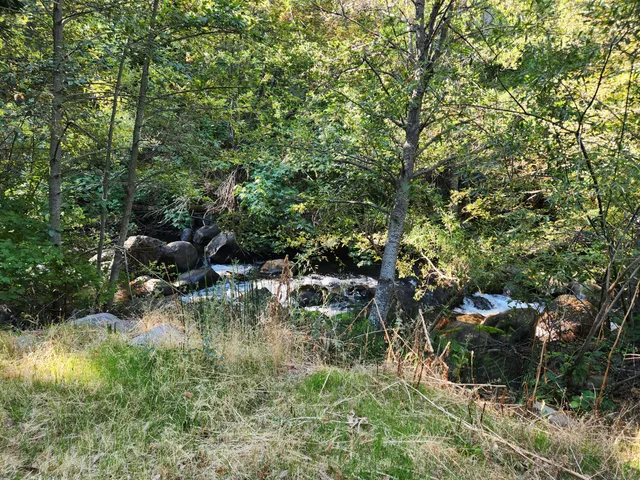 $250,000 | 19173 Woodhill Drive, Montgomery Creek, CA 96065