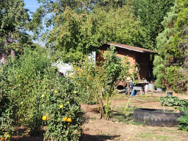 $250,000 | 19173 Woodhill Drive, Montgomery Creek, CA 96065