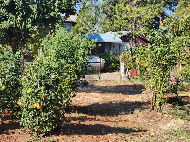 $250,000 | 19173 Woodhill Drive, Montgomery Creek, CA 96065