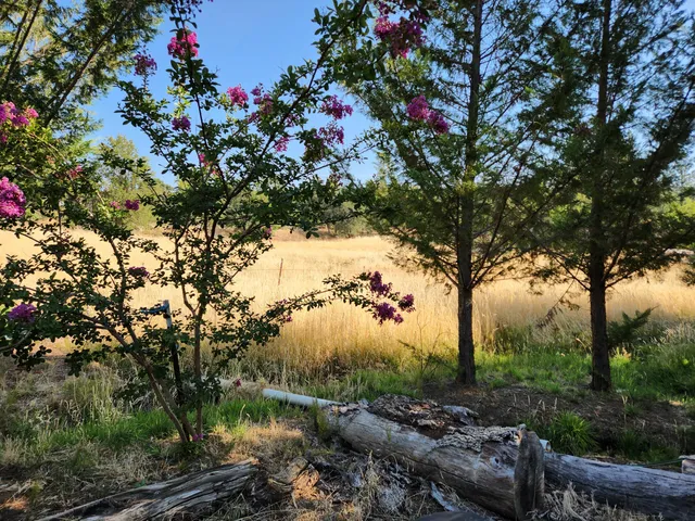 $250,000 | 19173 Woodhill Drive, Montgomery Creek, CA 96065