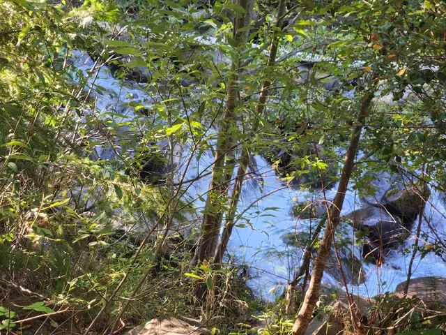 $250,000 | 19173 Woodhill Drive, Montgomery Creek, CA 96065