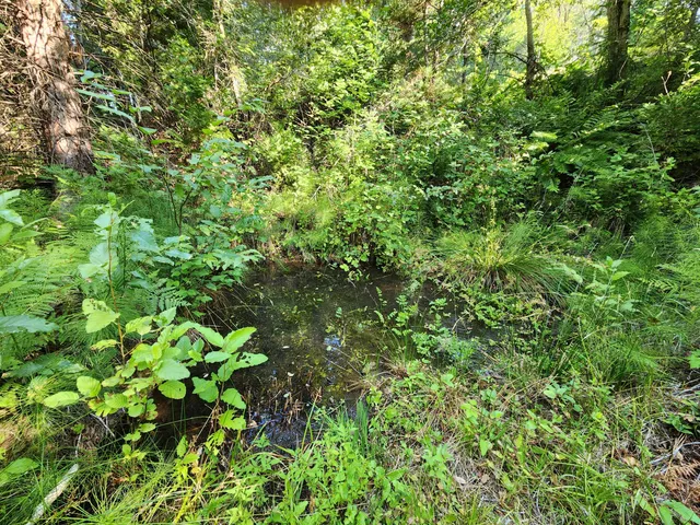 $250,000 | 19173 Woodhill Drive, Montgomery Creek, CA 96065