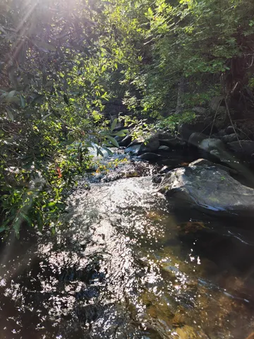 $250,000 | 19173 Woodhill Drive, Montgomery Creek, CA 96065