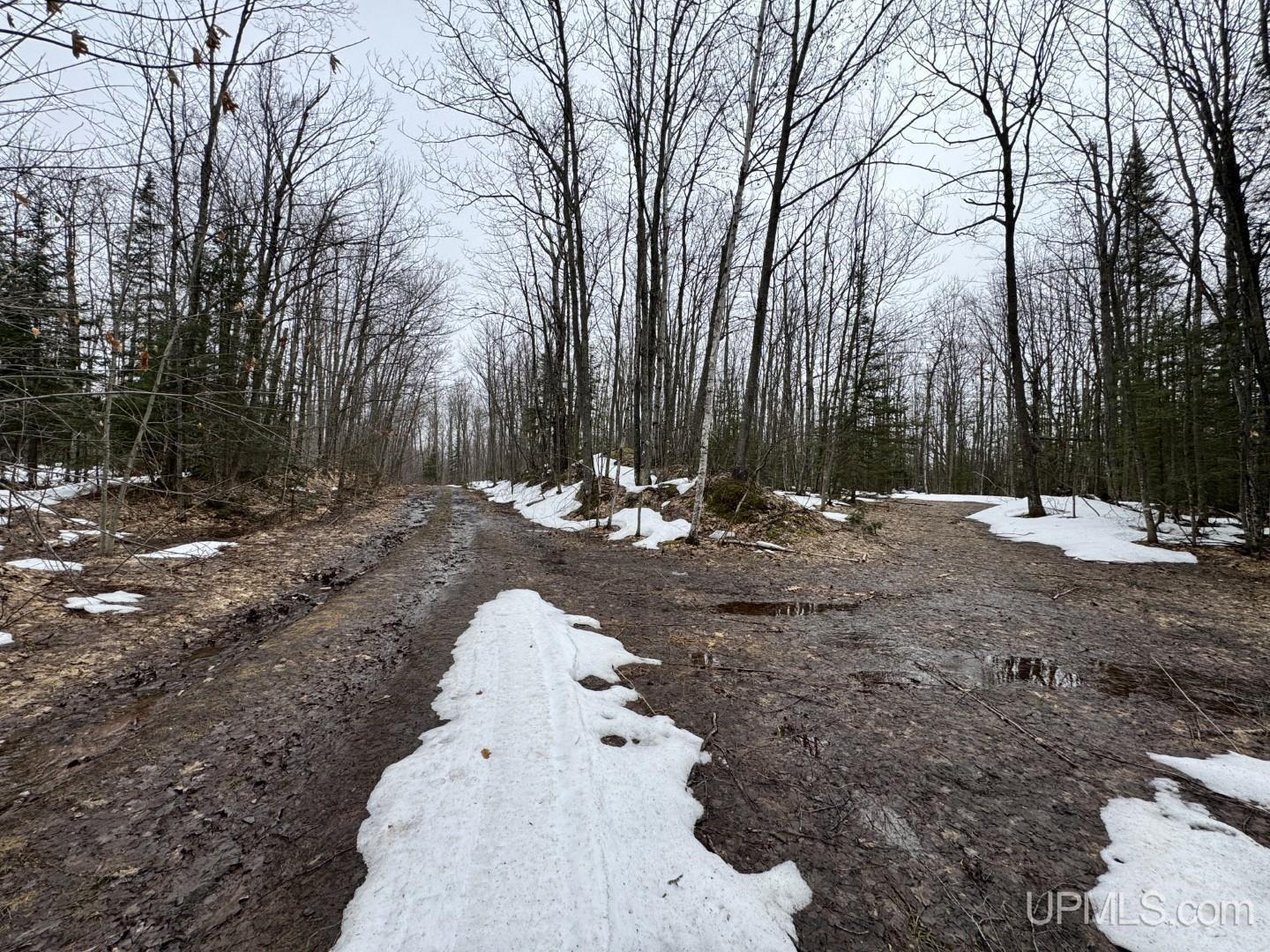 280-acres Off Pikes Peak Road Lanse, MI 49946 - Photo 15 of 21