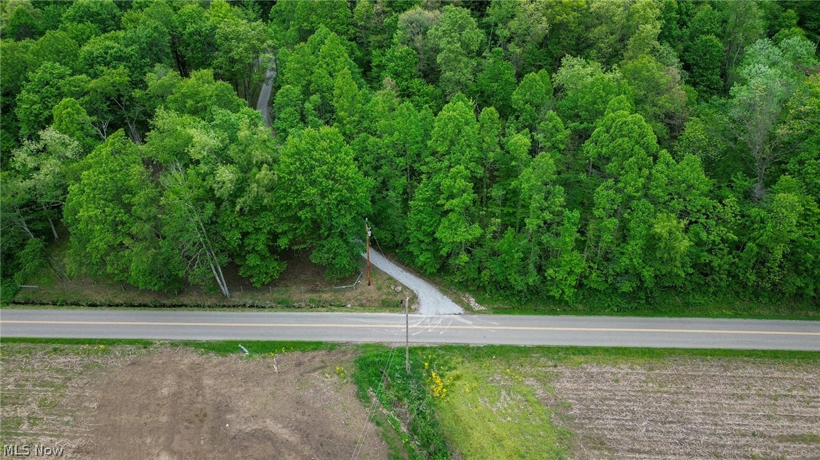 5309 Cherry Run Road Northwest Strasburg, OH 44680 - Photo 10 of 49