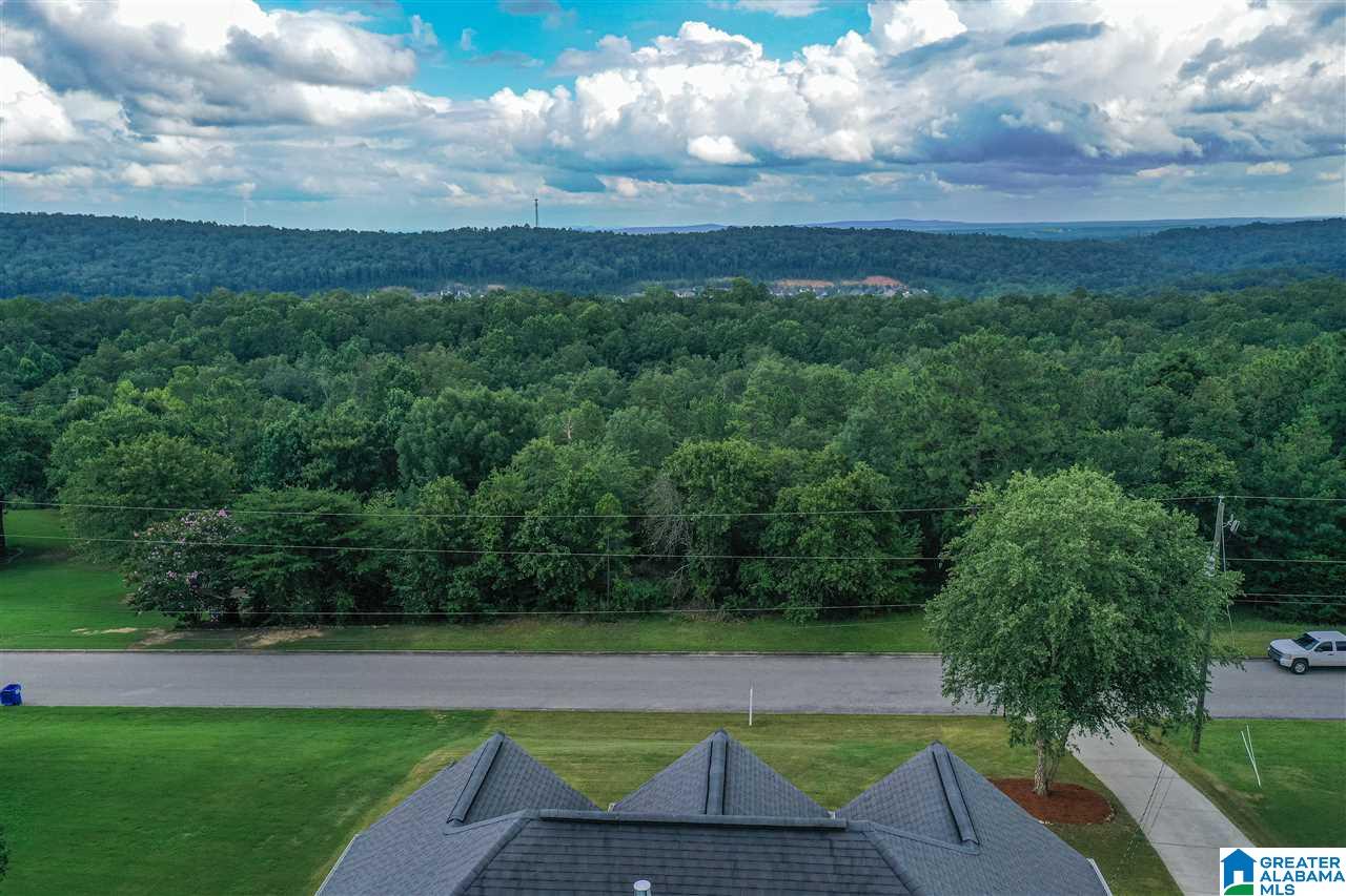 608 Conroy Road Sterrett, AL 35147 - Photo 36 of 37