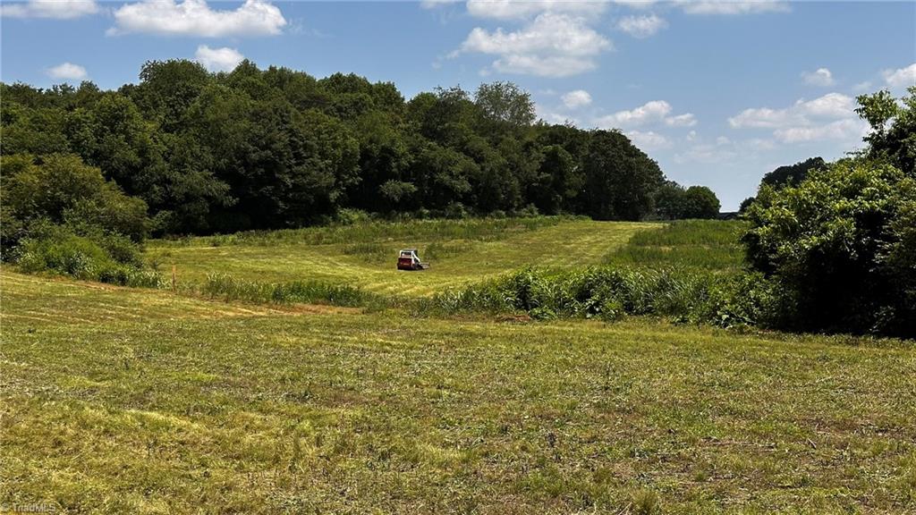 Tbd001 Christian Home Church Road Traphill, NC 28685 - Photo 14 of 21