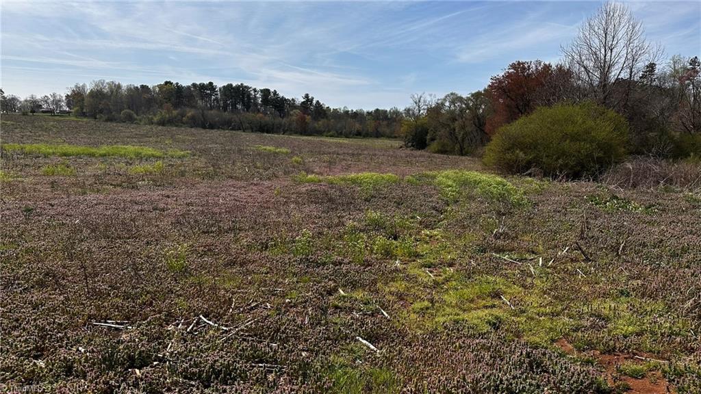 Tbd001 Christian Home Church Road Traphill, NC 28685 - Photo 16 of 21