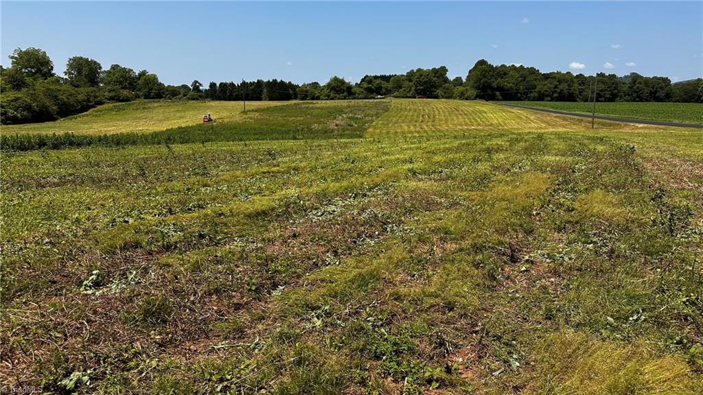 Tbd001 Christian Home Church Road Traphill, NC 28685 - Photo 18 of 21