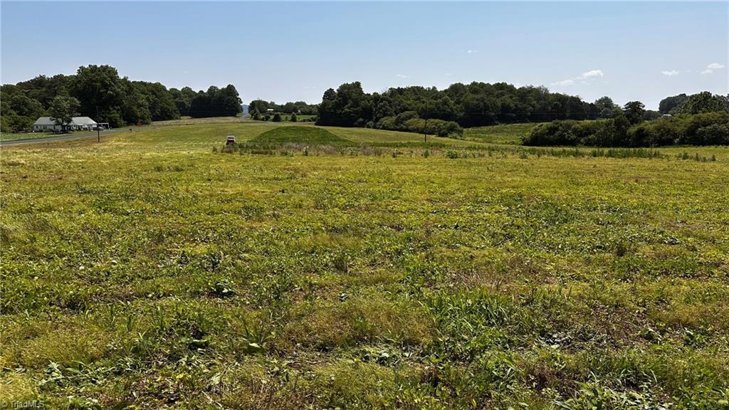 Tbd001 Christian Home Church Road Traphill, NC 28685 - Photo 19 of 21