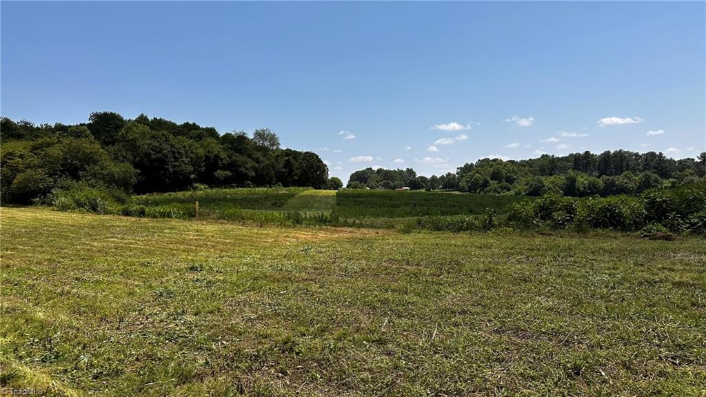 Tbd001 Christian Home Church Road Traphill, NC 28685 - Photo 20 of 21