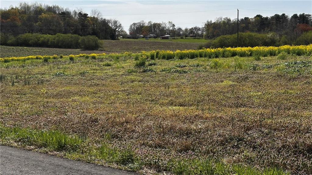 Tbd001 Christian Home Church Road Traphill, NC 28685 - Photo 21 of 21