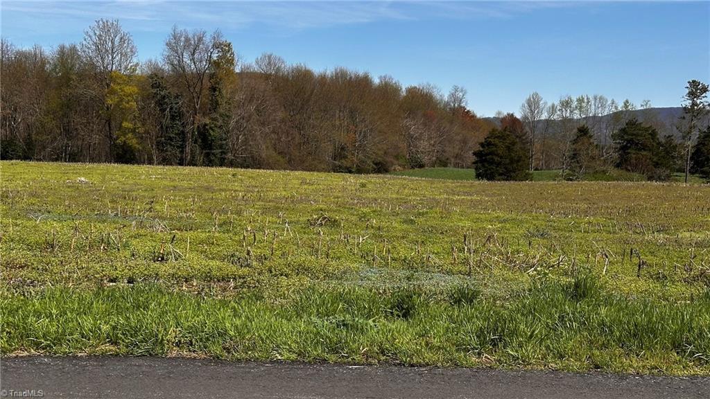 Tbd001 Christian Home Church Road Traphill, NC 28685 - Photo 4 of 21