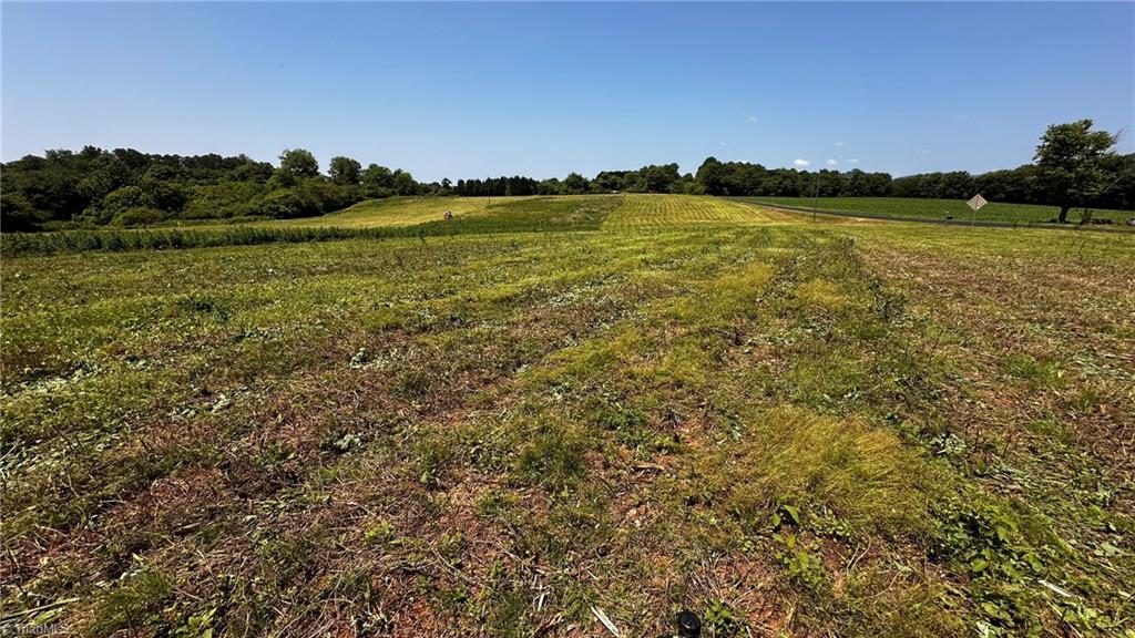 Tbd001 Christian Home Church Road Traphill, NC 28685 - Photo 8 of 21 Just mowed