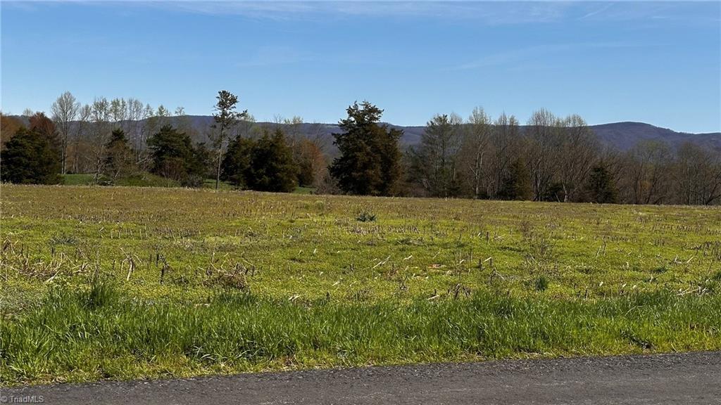 Tbd001 Christian Home Church Road Traphill, NC 28685 - Photo 10 of 21