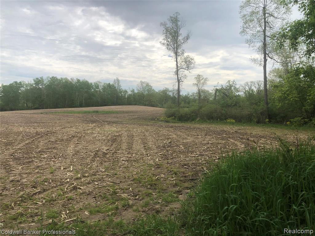 80-ac Mabley Hill Road Fenton, MI 48430 - Photo 2 of 7