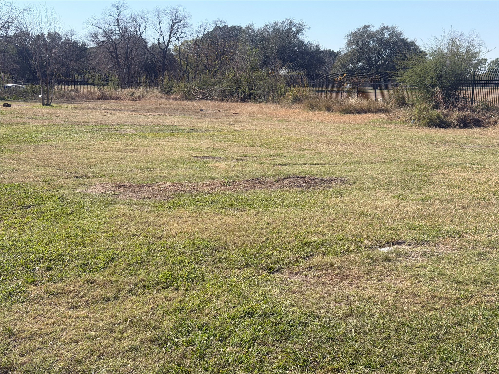 0 Rustling Leaves Drive Houston, TX 77083 - Photo 3 of 11