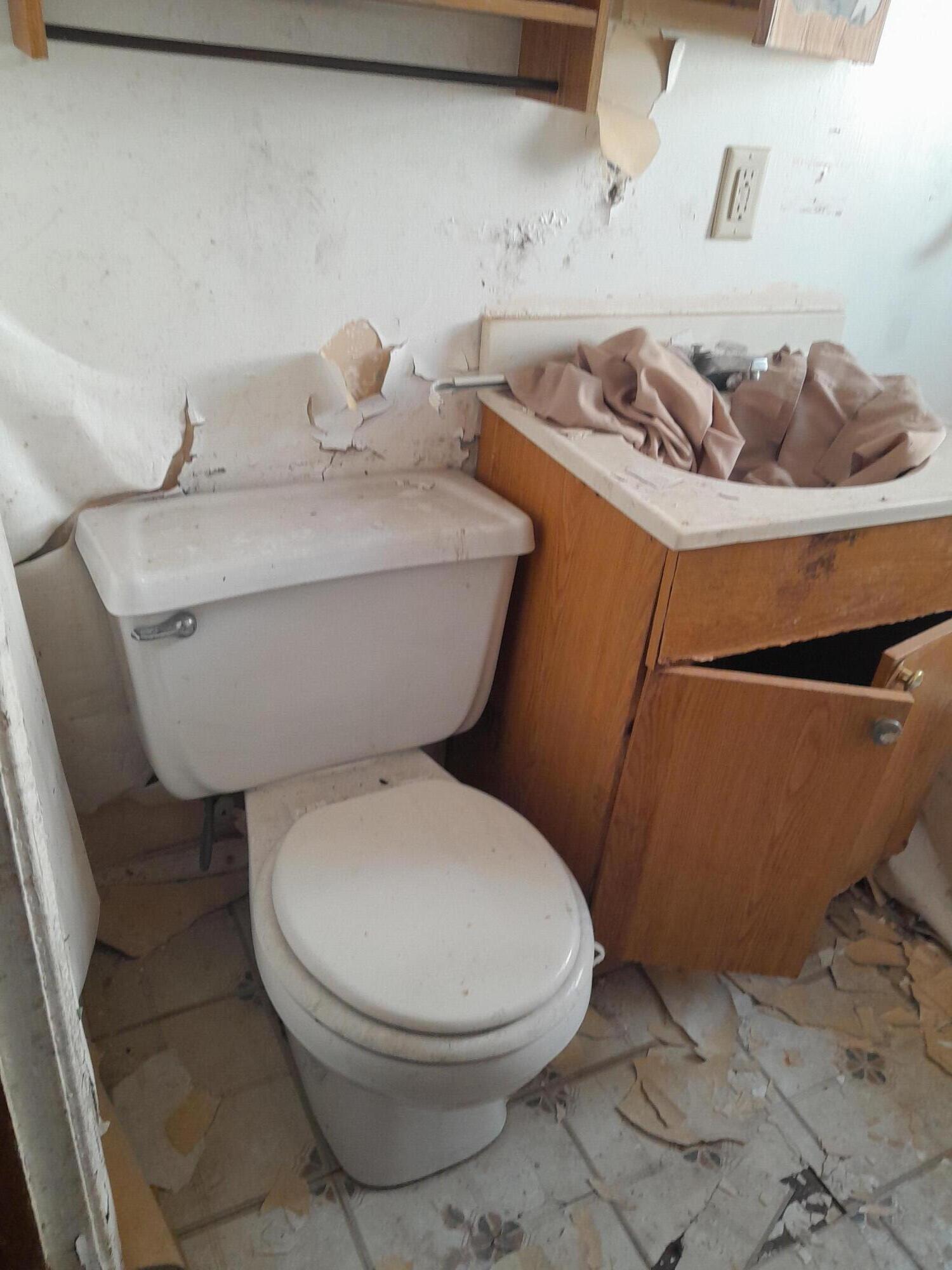 266 Johnson Street Gary, IN 46404 - Photo 9 of 16 a bathroom with a toilet and a sink