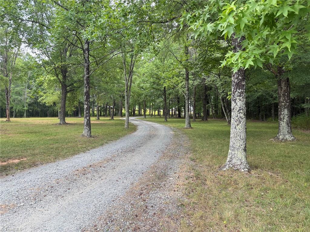 2498 Settle Bridge Road Stoneville, NC 27048 - Photo 4 of 32